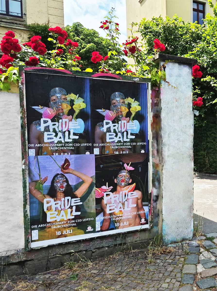 Vor einer Mauer mit roten Rosen hängen vier Prideball-Poster zum CSD Leipzig in Taubchenthal aus.